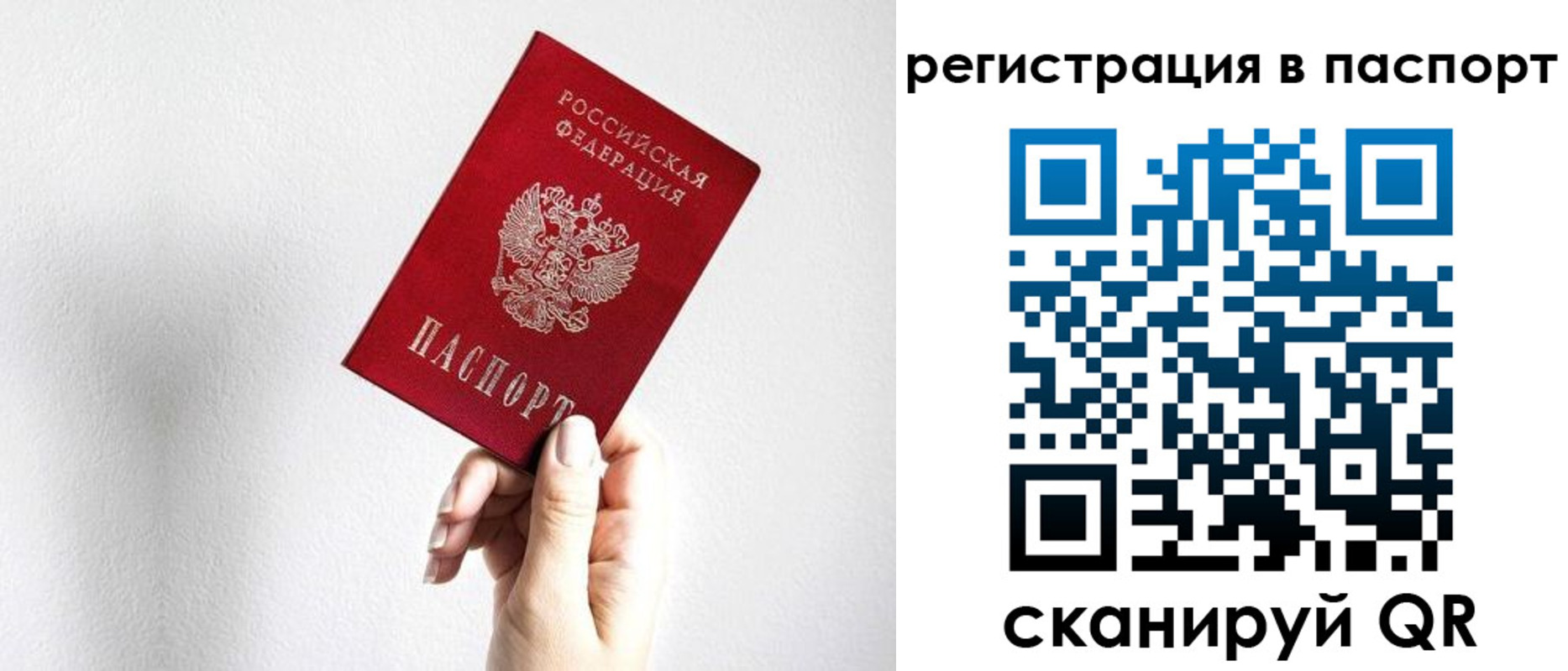 прописка законно в Ардоне